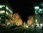 佐野駅前通りの夜間風景