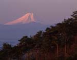 佐野市北部にある唐沢山からの風景