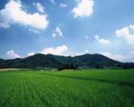 万葉集にも歌われているみかも山